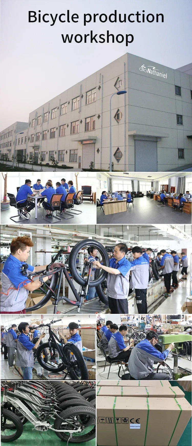 CHINA US 1000W Off-road Electric Bike 26 inch 4.0 Fat Tire Outdoor Sports Mountain Bike 20Ah Battery Adult Bike 40km/h ebike