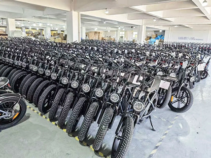 Electric Mountain Bike for Men and Women E-bike Urban Bicycle Upgraded C93 2000W 48V 23Ah Maximum Speed 55km city Commuter ebike
